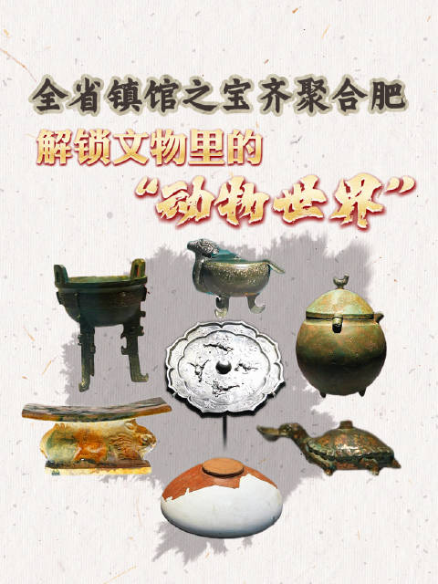 全省镇馆之宝齐聚合肥！解锁文物里的“动物世界”