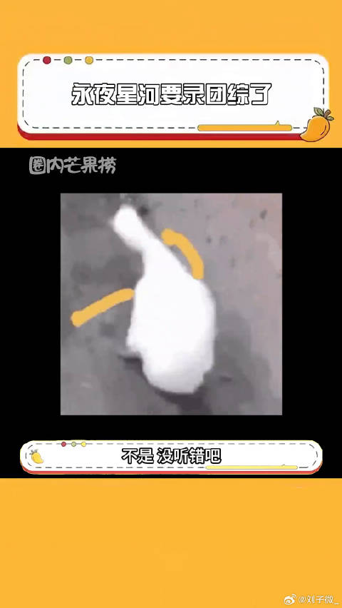 永夜星河要出团综 剧粉们吃的也太好了吧虞书欣 团综