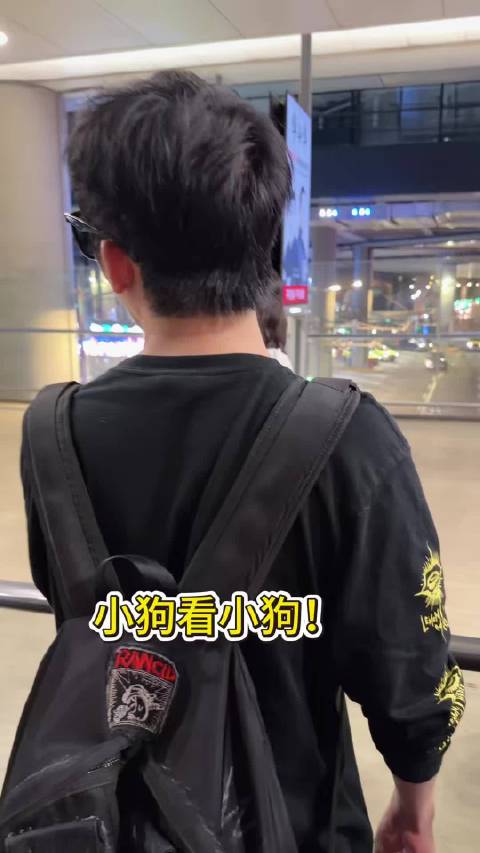 修勾偶遇修勾！ 是可爱的西高地！