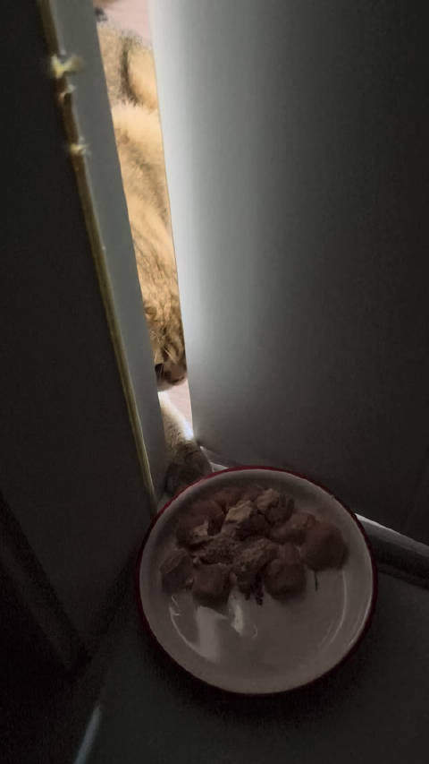 渴望