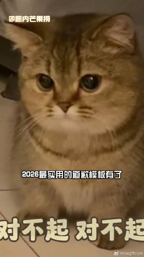 2026最实用的道歉模板有了 今夜喜友秀 微博VC计划