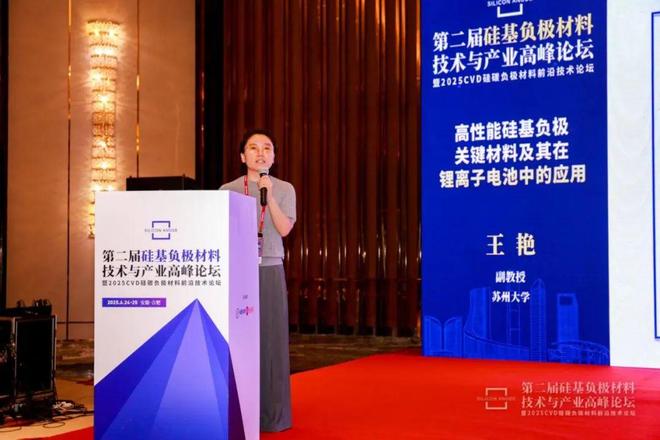 硅基负极材料表面修饰技术突破与产业化路径探析——访苏州大学王艳副教授