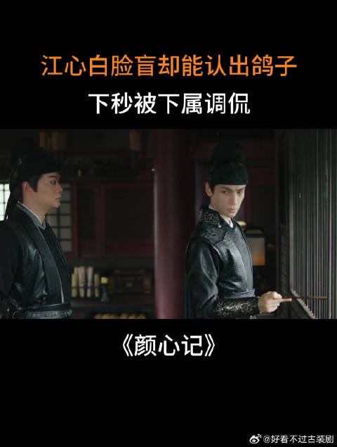 江心白脸盲却能认出鸽子，下秒被下属调侃