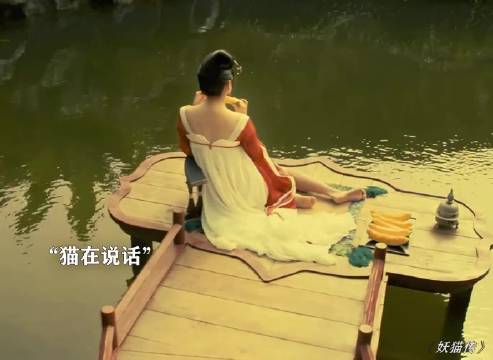 连猫都懂欠债要还，而有些人却不懂 张雨绮 秦昊 妖猫传