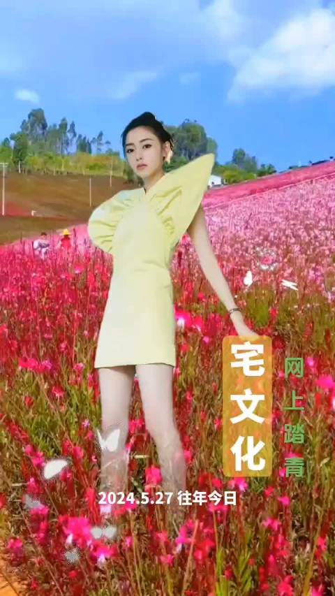 视频黑马扶持计划