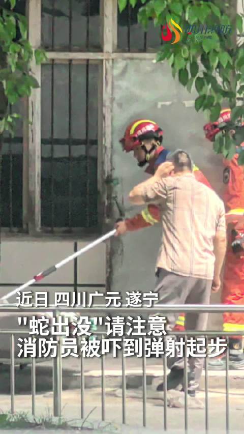 大蛇藏匿居民电动车，消防员成功捕获放生