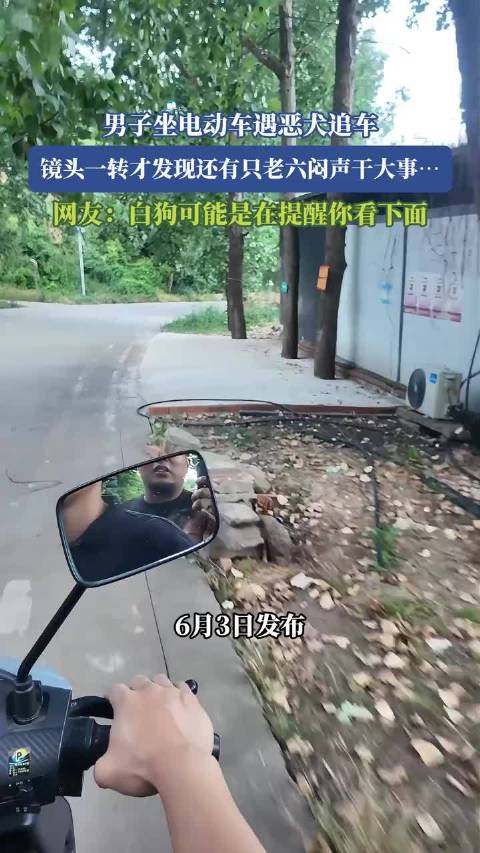 男子电动车遇恶犬追车,另一犬潜伏伺机突袭