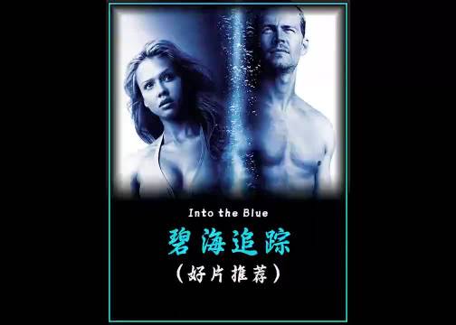 一口气看完《碧海追踪》影视解说 好剧推荐 因为一个片段看了整部剧