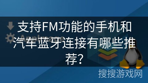 支持FM功能的手机和汽车蓝牙连接有哪些推荐?