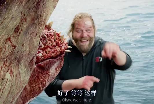 郭达大战巨齿鲨！