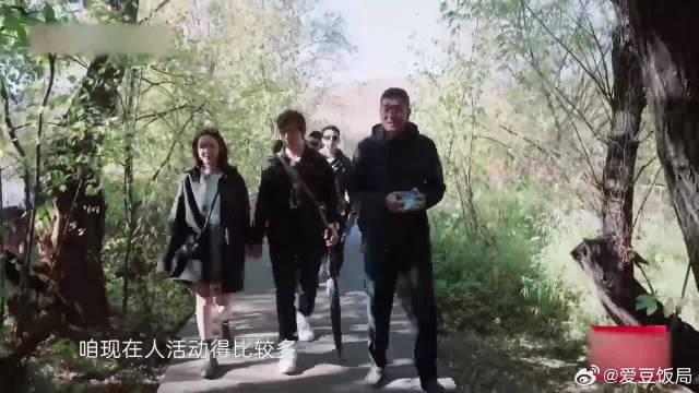 陈乔恩艾伦说悄悄话，导游自觉多余，加速逃离现场