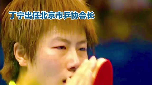 丁宁当选北京乒协会长，张怡宁送祝福