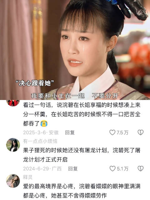 可是你不看甘露寺，看不到浣碧对长姐的爱，甄嬛传