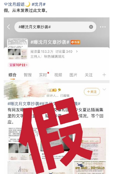 沈月被指控抄袭夏达的文章，具体有哪些重合的文字内容？