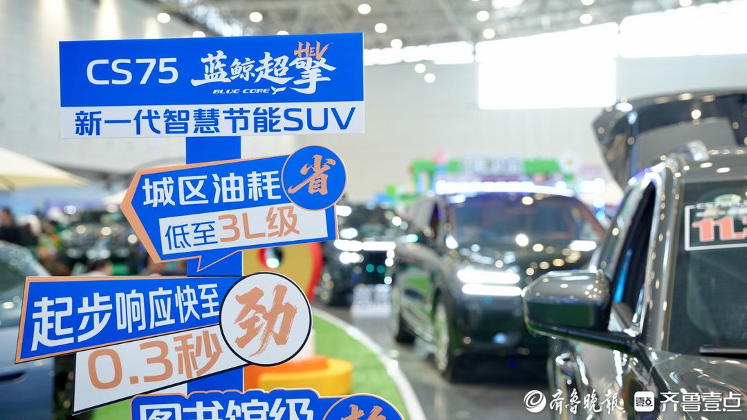 重磅新车集中首发！槐荫汽车嗨购节吸引安徽游客探展