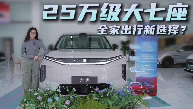 全尺寸旗舰SUV 可选纯电或插混版 比亚迪大唐值得期待吗？