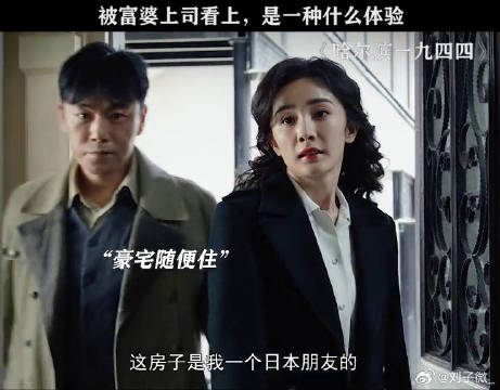 富婆姐姐看看我，我肯定不会拒绝哈尔滨一九四四硬控我 杨幂