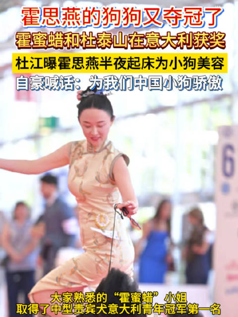 霍思燕的狗狗又夺冠了