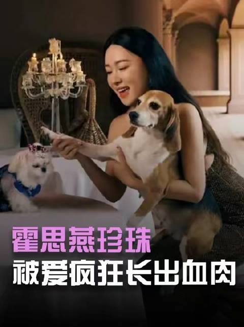 目睹霍思燕领养的实验犬蜕变历程，方知爱意真能催生血肉之躯