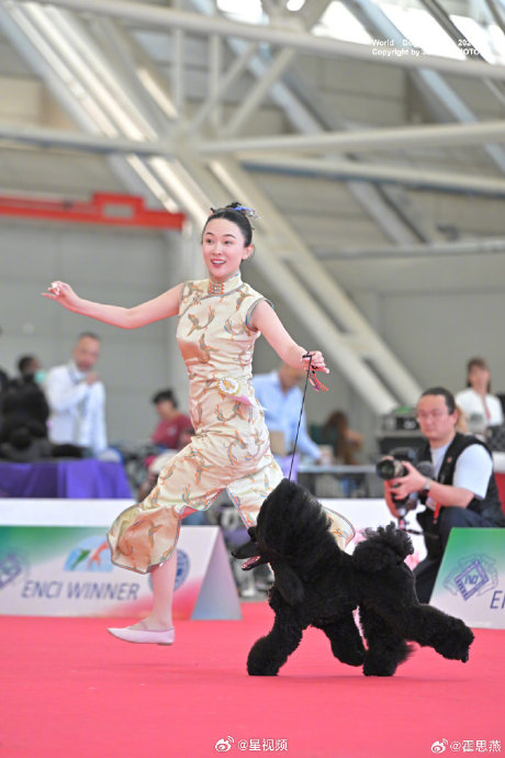 霍思燕爱犬获意大利世界杯犬展冠军