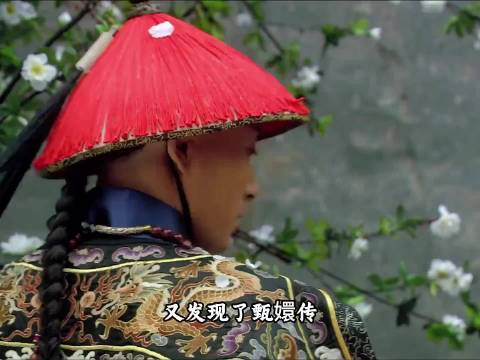 甄嬛传果然常看常新， 又是一个未曾设想过的角度！