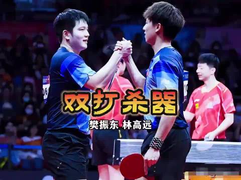 樊振东林高远巅峰搭档被拆散
