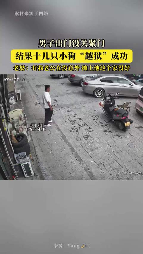 男子出门没关紧门，结果十几只小狗“越狱”成功！
