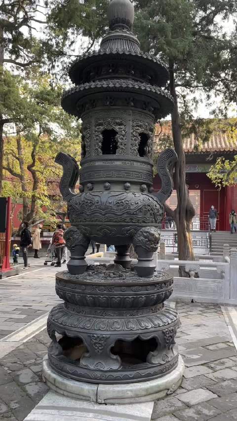 甄嬛传里的一丈红真的是要给这些枫叶染红吗