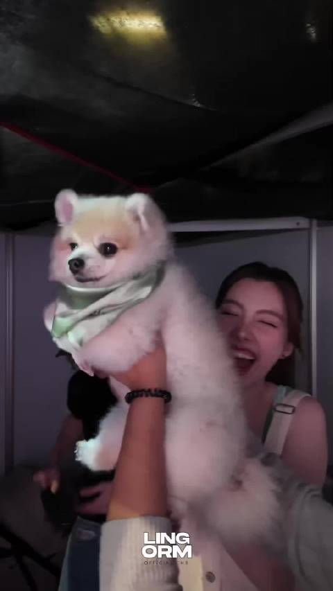 uni你也可以是狮子王