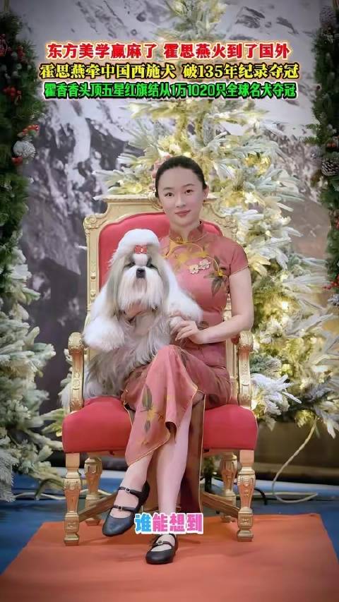 霍思燕携中国西施犬国际夺冠杜江赞唯一东方优雅