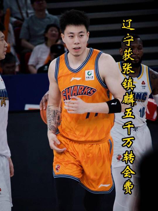 辽宁买卖亏大了！卖张镇麟收五千万转会费，换来首轮游+杨鸣离队