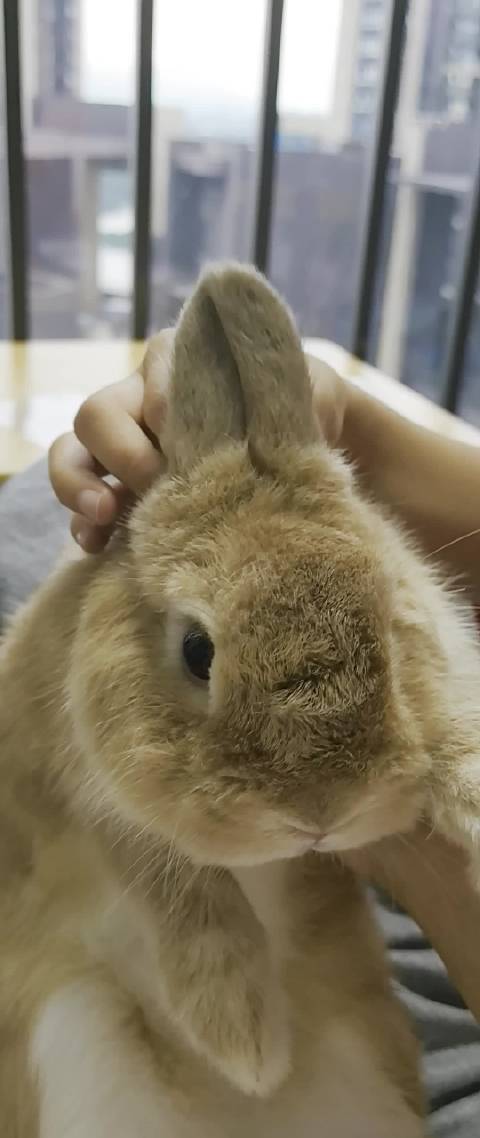 每天回来玩会儿