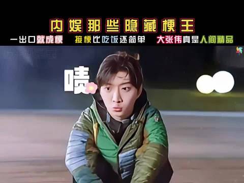 大张伟白敬亭等明星成娱乐圈梗王