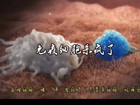 免疫细胞昼夜巡弋守护人体健康