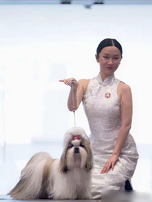 霍思燕在赛前为保护犬只嗅觉做了哪些极端的准备工作？