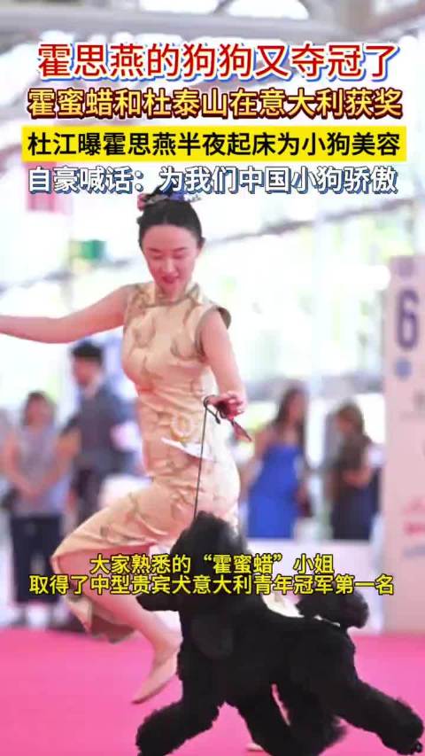 霍蜜蜡杜泰山意大利获奖，为中国小狗自豪