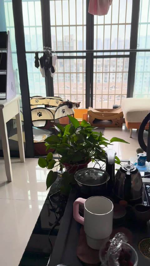 小久学会越狱了
