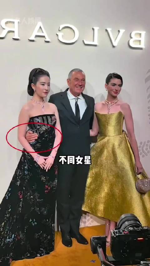 女星被金主搂腰名场面：白鹿强装营业，陈都灵白眼外露，刘亦菲尽显格局