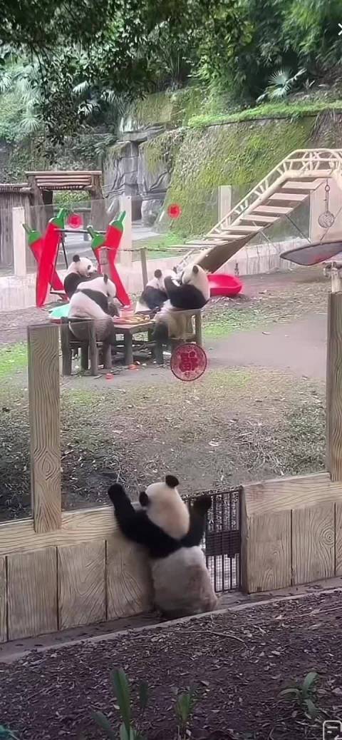 治愈人心的自然风景：蓝天大海与森林