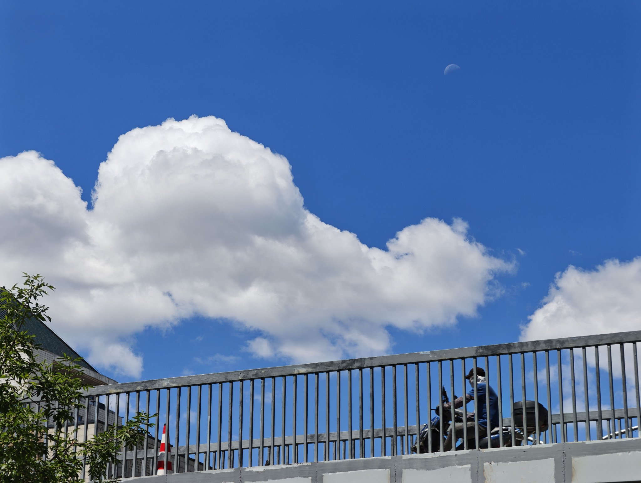 6月9日，北四環東路，天空中能看到月亮。當月亮和太陽的夾角比較大時，月亮反射的光就能夠被看到。新京報記者 王巍 攝