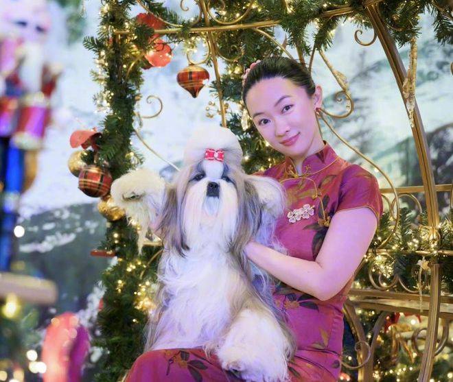 恭喜！小狗泰国拿奖，霍思燕开心到五官变形，杜江一脸宠溺的鼓掌