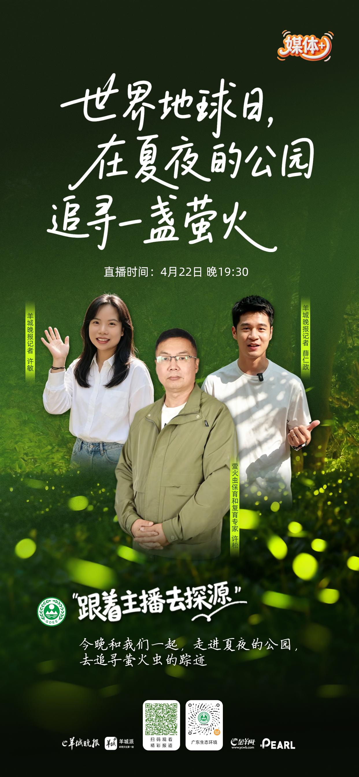 广州多个公园夜现萤火虫，微光闪烁见证生态修复｜粤来粤美