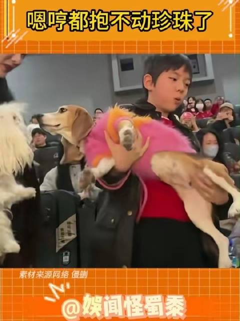 此刻的珍珠想必正沉浸在幸福之中霍思燕一家亮相首映礼 杜江霍思燕