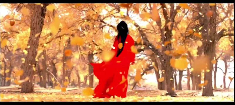 ️《英雄》（2002）. “自古刺客如美人，不许人间见白头” 张曼玉