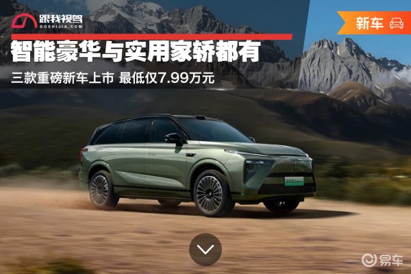 卡罗拉新车指导价知识库