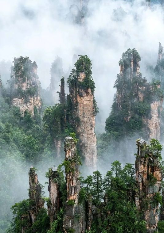 2026毕业旅行首选：张家界3日游攻略｜阿凡达同款+青春打卡地