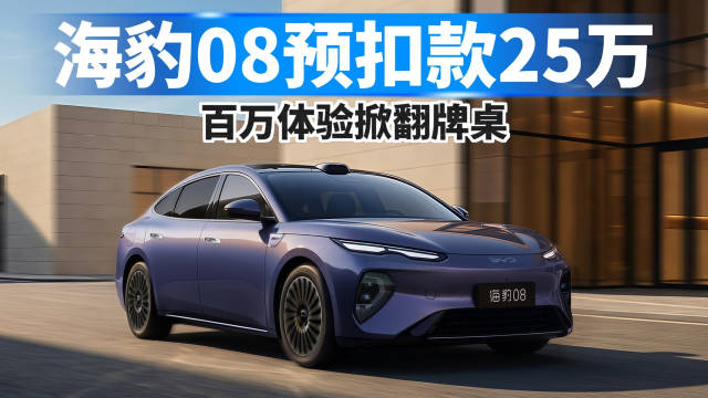 海豹08预扣款25万，百万体验掀翻牌桌！