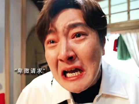 作为家里的老二 他渴望得到妈妈的认可 却一辈子没有被认可 .迷墙