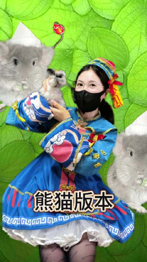 像小熊猫的龙猫
