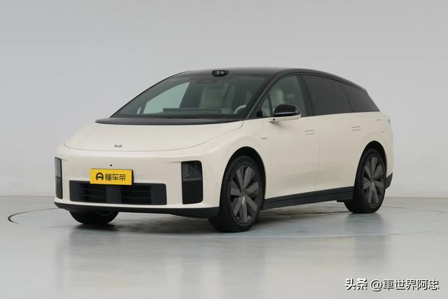 惨烈！5月中大型SUV销量榜：理想i6卫冕，宝马X5掉第10，途昂第25|日产|suv|燃油车|宝马x5|大众途昂_订阅
